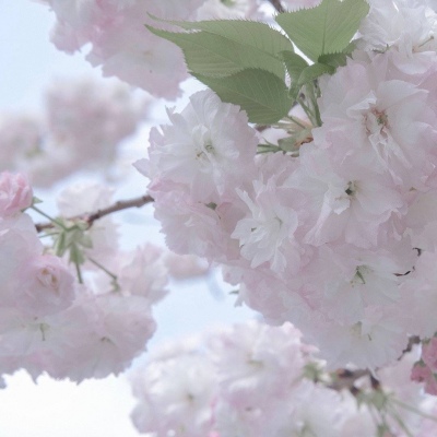 兽设火山场景设计福瑞交流群